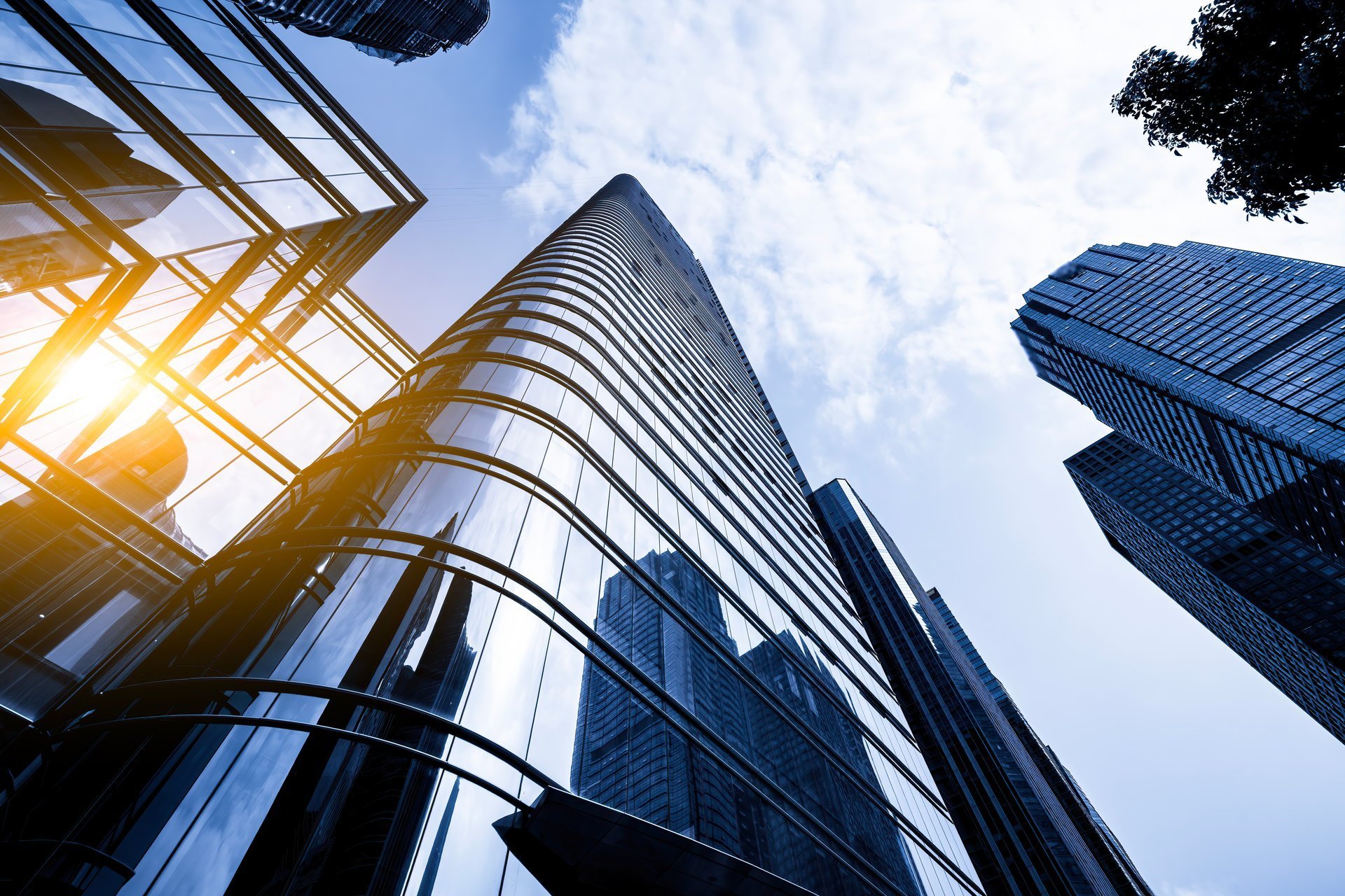 Modern glass skyscrapers in urban business district